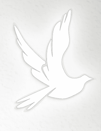 Larisa Sankovic Obituary